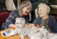 'It's almost magical': how robotic pets are helping UK care home residents