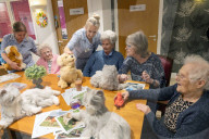 'It's almost magical': how robotic pets are helping UK care home residents