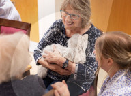 'It's almost magical': how robotic pets are helping UK care home residents