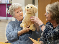 'It's almost magical': how robotic pets are helping UK care home residents