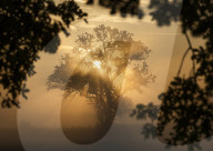 Hot weather in Surrey, UK.