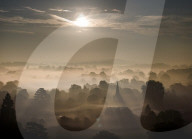 Hot weather in Surrey, UK.