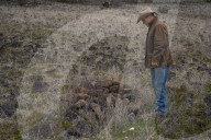 Are America's wild horses the answer to wildfires? - a photo essay