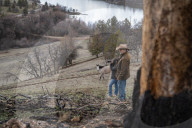 Are America's wild horses the answer to wildfires? - a photo essay