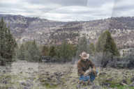 Are America's wild horses the answer to wildfires? - a photo essay