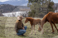 Are America's wild horses the answer to wildfires? - a photo essay