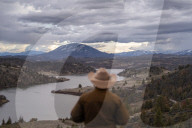 Are America's wild horses the answer to wildfires? - a photo essay