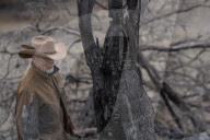 Are America's wild horses the answer to wildfires? - a photo essay