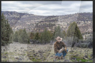 Are America's wild horses the answer to wildfires? - a photo essay