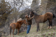 Are America's wild horses the answer to wildfires? - a photo essay