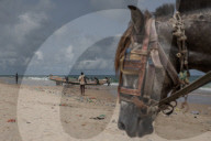 Anger over fish stocks as Senegal village mourns boat disaster dead