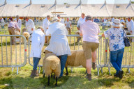 Dorset County Show 2023. Dorchester, UK.Dorset County Show 2023. Dorchester, UK.