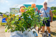 Dorset County Show 2023. Dorchester, UK.Dorset County Show 2023. Dorchester, UK.