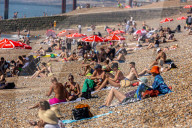 Sunbathers and swimmers on Brighton beach East Sussex, UK.