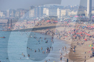 Sunbathers and swimmers on Brighton beach East Sussex, UK.