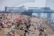 Sunbathers and swimmers on Brighton beach East Sussex, UK.