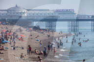 Sunbathers and swimmers on Brighton beach East Sussex, UK.