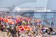 Sunbathers and swimmers on Brighton beach East Sussex, UK.