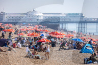 Sunbathers and swimmers on Brighton beach East Sussex, UK.