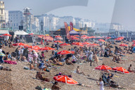 Sunbathers and swimmers on Brighton beach East Sussex, UK.