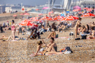 Sunbathers and swimmers on Brighton beach East Sussex, UK.