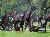 Special Military celebrations in London to mark the first anniversary of the accession to the throne of His Majesty The King, Hyde Park, London, UK.