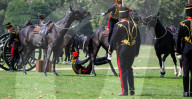 Special Military celebrations in London to mark the first anniversary of the accession to the throne of His Majesty The King, Hyde Park, London, UK.