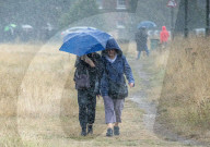 Wind and rain on Wimbledon Common south-west London