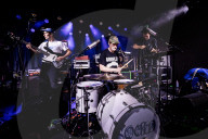 Squid live in Copenhagen, Denmark