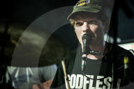 Squid live in Copenhagen, Denmark