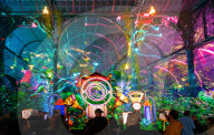 Butterfly Trail launches at Outernet London, Tottenham Court Road, London, UK. 
