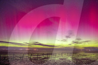 FEATURE - Seltenes Naturschauspiel: Polarlichter über der Nordsee, Friesland