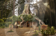 Shrek swamp home goes on Airbnb