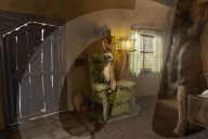 Shrek swamp home goes on Airbnb