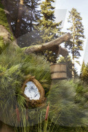 Shrek swamp home goes on Airbnb