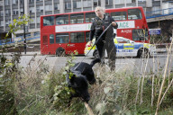 Girl murdered in Croydon, UK.