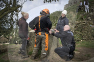 Sycamore Gap: man, 60, arrested in connection with felled tree