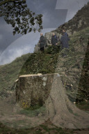 Sycamore Gap: man, 60, arrested in connection with felled tree