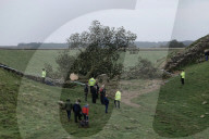 Sycamore Gap: man, 60, arrested in connection with felled tree