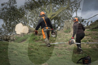 Sycamore Gap: man, 60, arrested in connection with felled tree