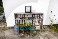 Eggs, marrows and chutney: England's honesty boxes - in pictures
