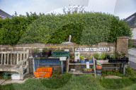 Eggs, marrows and chutney: England's honesty boxes - in pictures