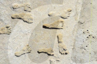 Oldest footprints ever found in North America confirmed