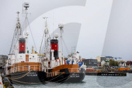'We can carry on for ever': meet Iceland's last whale hunter