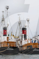 'We can carry on for ever': meet Iceland's last whale hunter