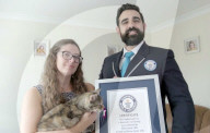 Cat gets world record for loudest purr