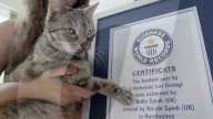 Cat gets world record for loudest purr