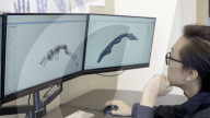 Free to 3D print prosthesis for finger amputees