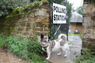 Mid Bedfordshire by-election