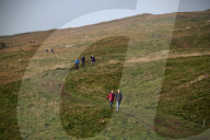 Sycamore Gap tree removed from Hadrian's Wall to be seasoned and reused